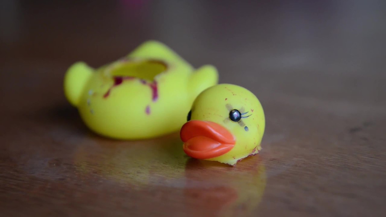 Student stalked by ducks!