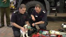 More pets to be saved thanks to equipment