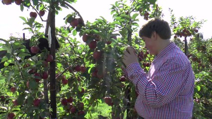 Scheme to get young people into horticulture launches