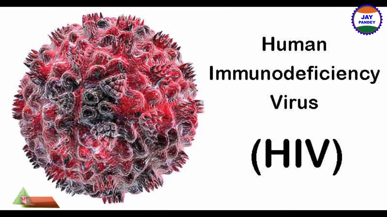 इतिहास के 10 खतरनाक Virus! The Deadliest Viruses in History!