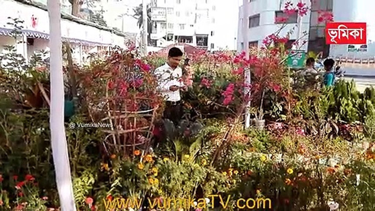 BEAUTIFUL HOME MADE FLOWERS GARDEN |_Simple and beautiful flower garden youtube videos