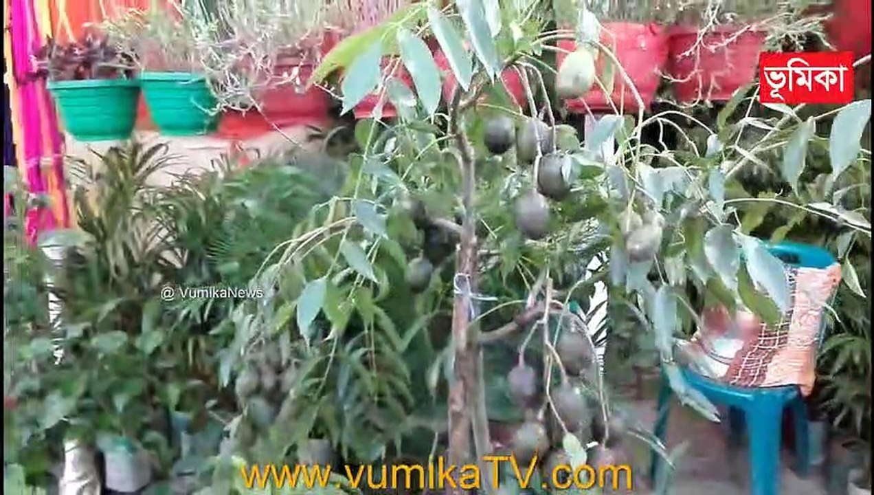 BEAUTIFUL HOME MADE FLOWERS GARDEN |_Simple and beautiful flower garden youtube videos