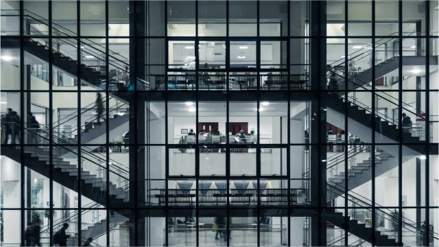 Formation : 5 domaines qui rencontrent un vrai succès depuis un an