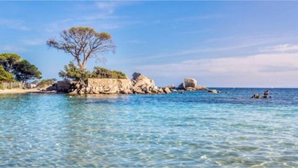 Vacances : où vont partir les Français cet été ?