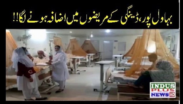 Bahawalpur mein Daungi ka Mareezoin Azafa preshan kun Sortehaal | Indus Plus News Tv