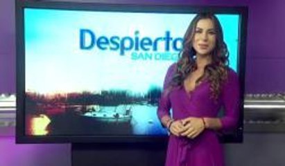 No estas deprimido, estas distraído