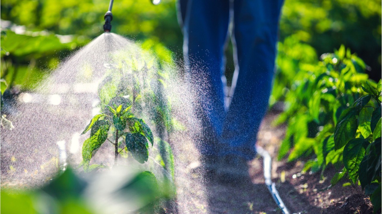 Trop de pesticide : de nombreuses boîtes Petit Navire rappelées par Carrefour, Auchan ou Intermarché