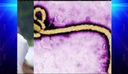Muere el primer paciente de Ebola diagnositcado en los Estados Unidos