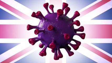 Covid-19 : ces départements où la proportion des variants explose