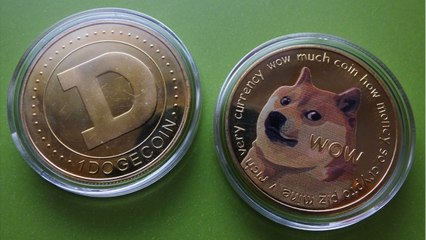Pour Elon Musk, le Dogecoin "va conquérir le monde"