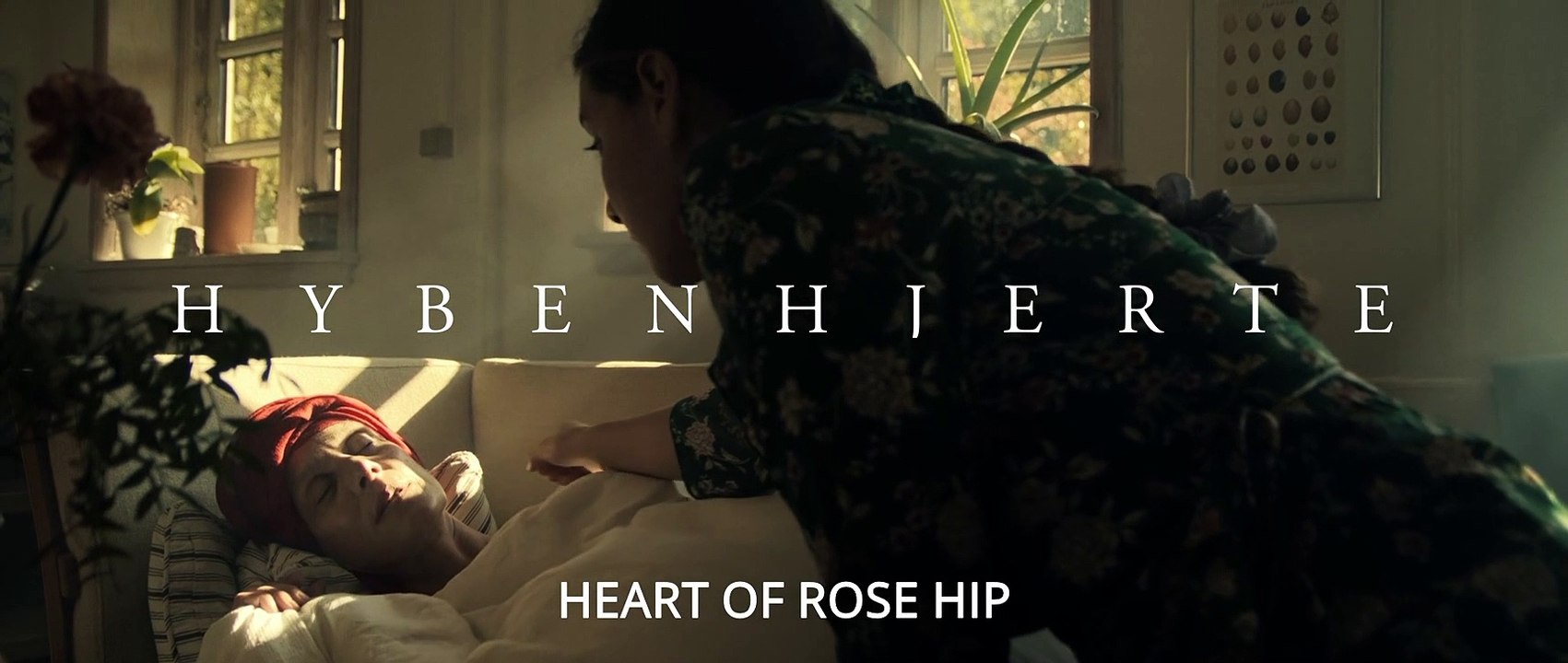 HEART OF ROSE HIP - TRAILER