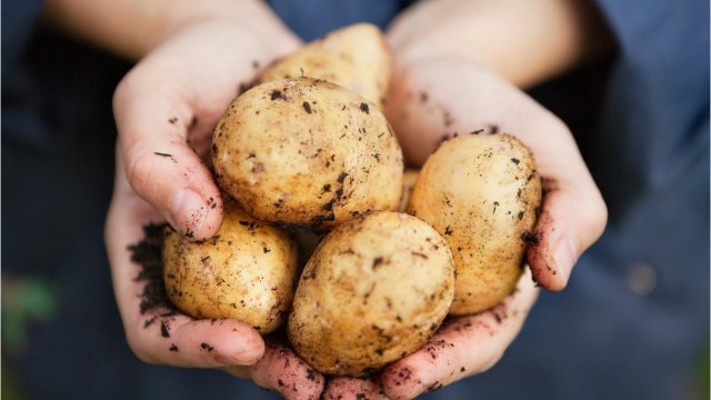 Alpes-Maritimes : attention à l'arnaque à la pomme de terre