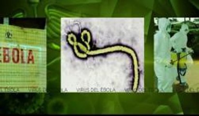 La peor amenaza sanitaria moderna