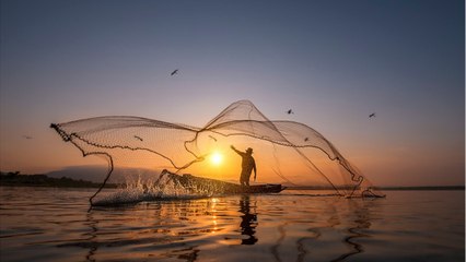 Des pêcheurs deviennent multimillionnaires grâce à une baleine au Yémen