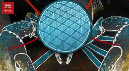 Teleskop luar angkasa terbaru dari mata lobster