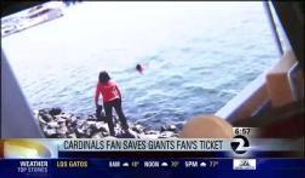 Cardinals Fan Rescues Giants Fan