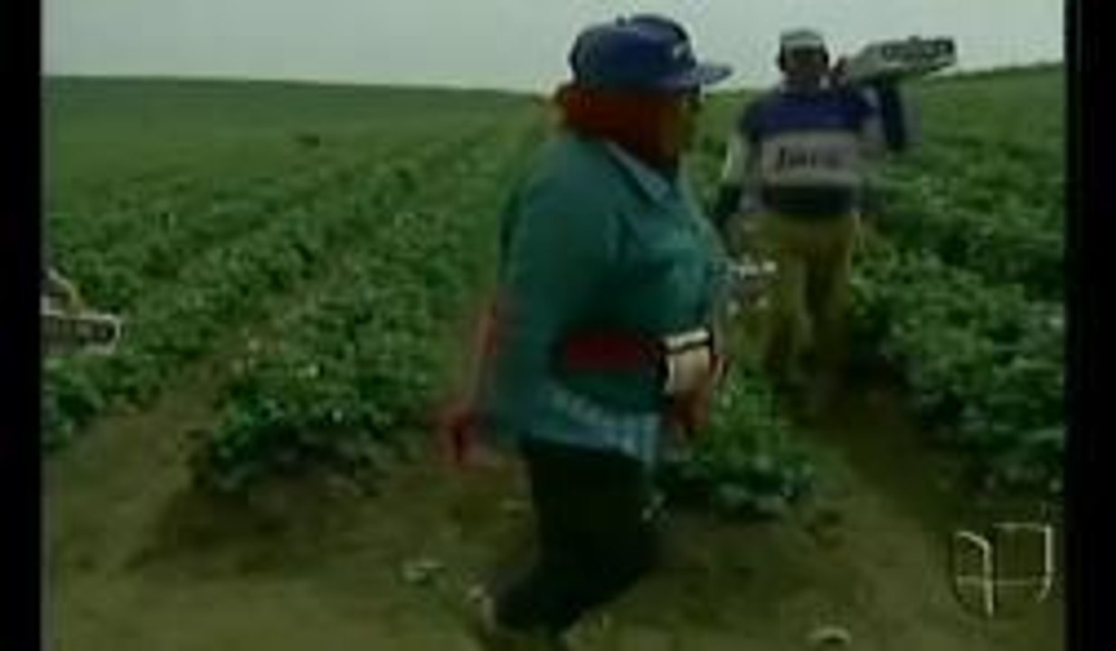 ABUSO LABORAL EN LOS CAMPOS