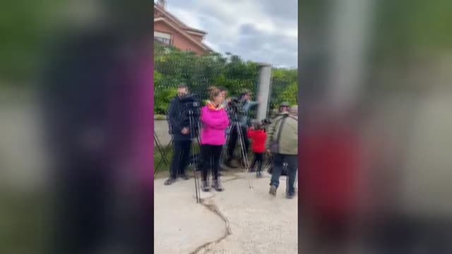 Un búho nival congrega multitudes en Asturias