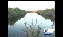 Voluntarios plantaron cientos de árboles en Laguna, México