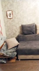 Renters Disguise Dog as Kid