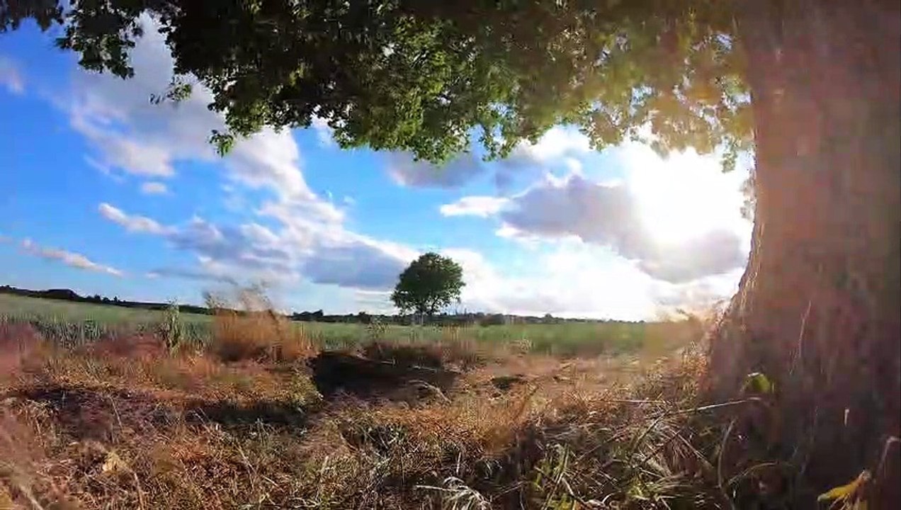MUSICAL NATURE