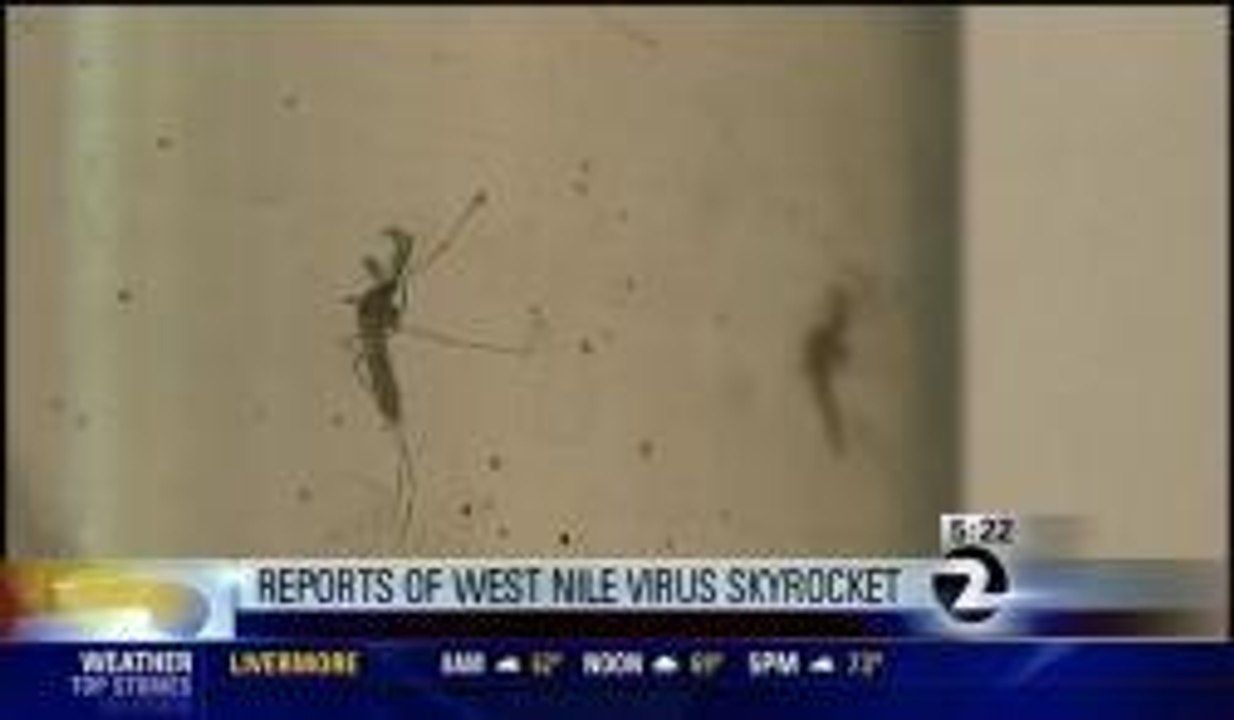 Reports West Nile Virus Skyrocket