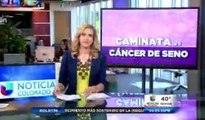 Caminata en apoyo al cáncer de seno