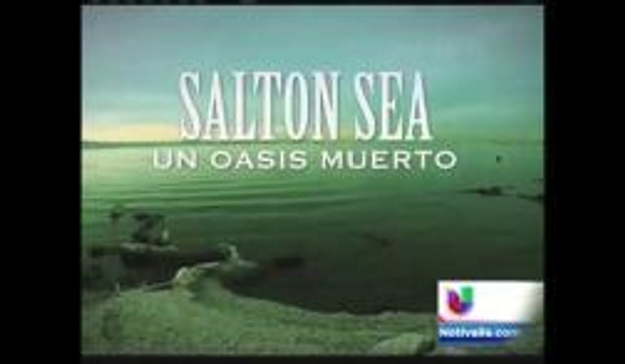 Salton Sea, un oasis muerto (2º parte)