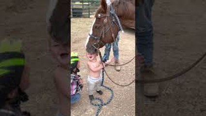 15-Month-Old Loving on His Horse Blake