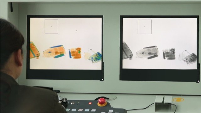 Les douaniers autrichiens ne pensaient pas trouver ça dans une valise