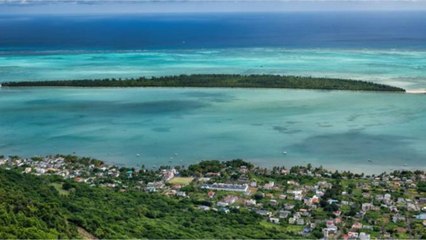 Sur l’île Maurice, on collecte les cheveux pour lutter contre la marée noire