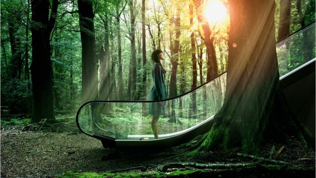 Recrutement : ces 5 métiers verts qui vont être très recherchés en 2021