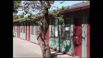 Como enfrentar el problema de personas sin hogar