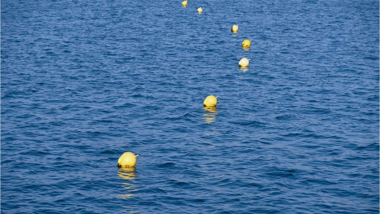 Ils se déguisent en bouée de balisage pour pouvoir aller se baigner