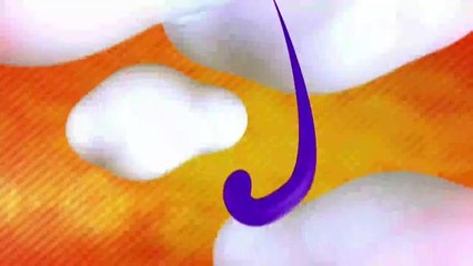 Buenos Días D.C. 10/29/2014