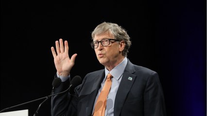 Le nouvel achat à 40 millions d'euros de Bill Gates