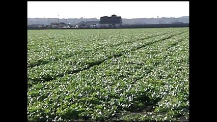 Otra dura batalla en el Distrito 2