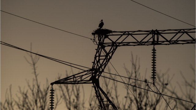 Facture erronée, consommation surévaluée : les litiges les plus récurrents avec les fournisseurs de gaz et d’électricité