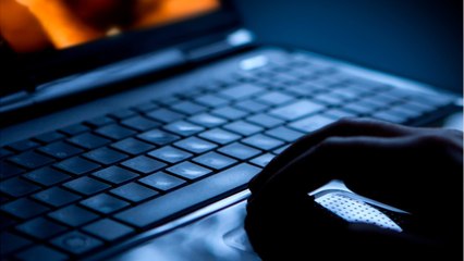 Des parents condamnés à rembourser la collection très particulière de leur fils