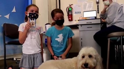 Image of the day: US hospital introduces pet therapy for young vaccine takers