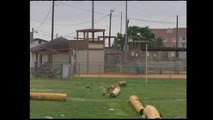 Desconocidos vandalizaron autos en un campo de pelota