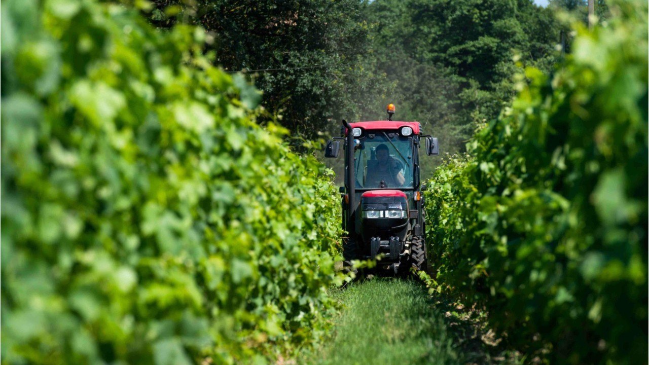 Trop chers, pas assez bio... les vins de Bordeaux boivent la tasse (1)