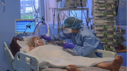 Le coronavirus fait-il vraiment moins de morts à Marseille que dans le reste de la France ?