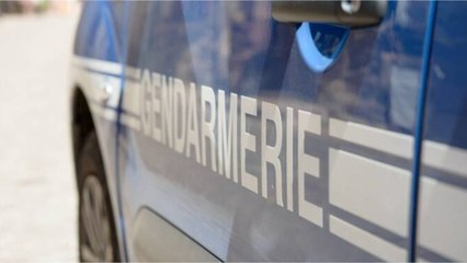 La grosse amende que risque un automobiliste pour avoir peint sa Seat Leon Cupra aux couleurs de la gendarmerie