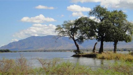 La Zambie décide de ne rembourser sa dette à aucun créancier !