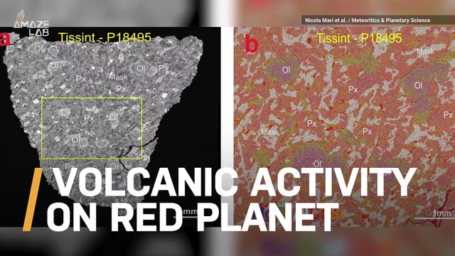 This Meteorite Suggests That Mars Could Be Volcanically Active
