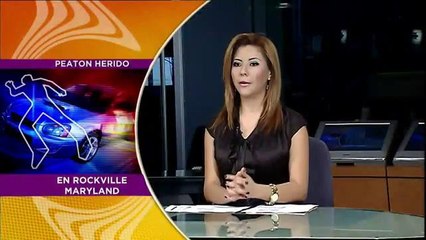 Rockville: En condición crítica hombre atropellado