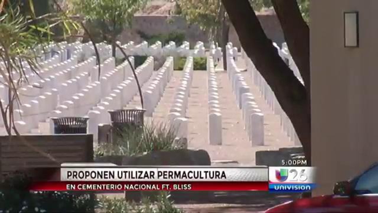 Nueva propuesta para volver a plantar pasto en cementerio de Ft Bliss