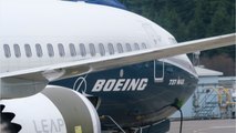Boeing 737 Max : le responsable du programme jette l'éponge