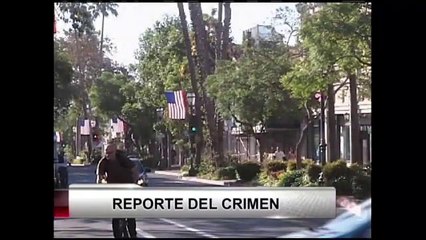 Reporte de crímenes en SB